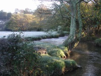 Bradiford Water near Manning's Pit