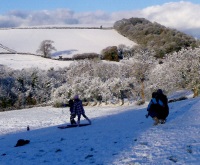 Sledging