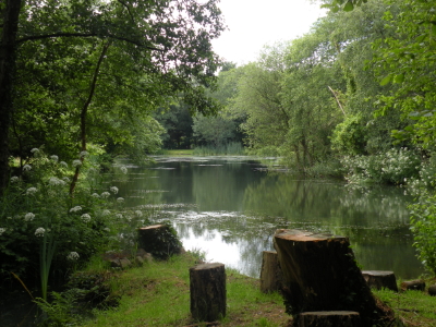 Fishing Lake at Blakewell Trout Farm