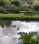 Blakewell Trout Farm