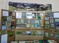 Devon Birds displays