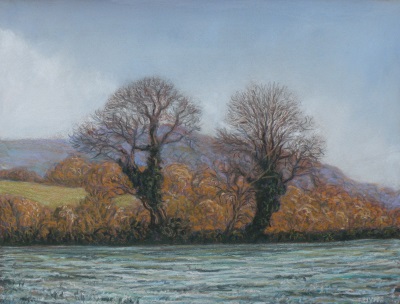 Two trees in frost, on land sold, other side of
              Bradiford Water