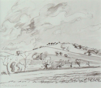 Roborough Hill from Manning's Pit by Tim Saunders
