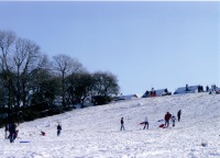 Sledging in Manning's Pit 2009