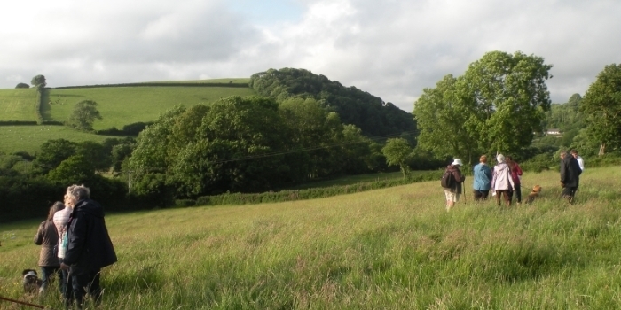 wildflower walk in Manning's Pit