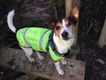 Gordon from Pottington