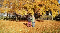 Near Hailes Abbey in the Cotswolds